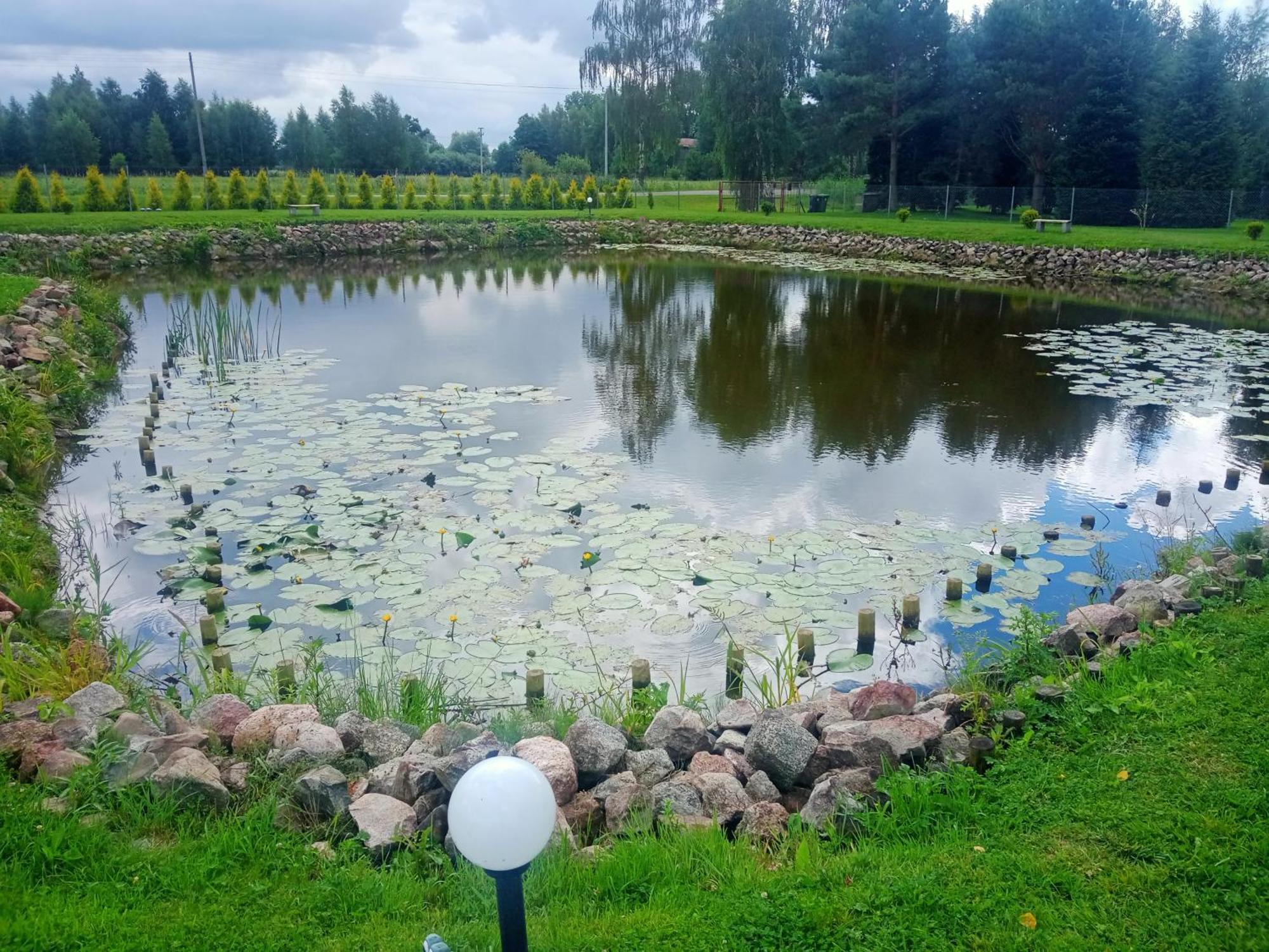 Domki Nad Stawem Stegna  Ngoại thất bức ảnh